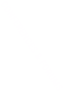 CONFERENCES & FORUMS